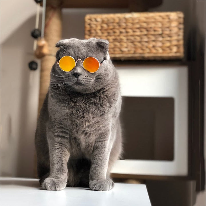 Trendy Katt Solbriller - KittyShades Luvikno
