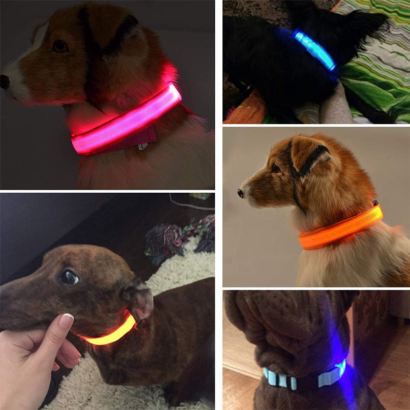 Luvikno | Luminous Animal Collar with LED Light – Rechargeable, Waterproof, Adjustable Fit for Enhanced Safety at Night