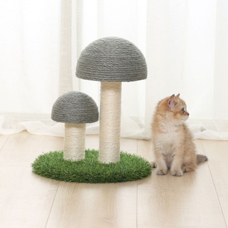 Sisal Katt Soppskrapepost Luvikno