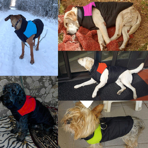 Varm og Vanntett Hundekåpe - WarmPaws Luvikno
