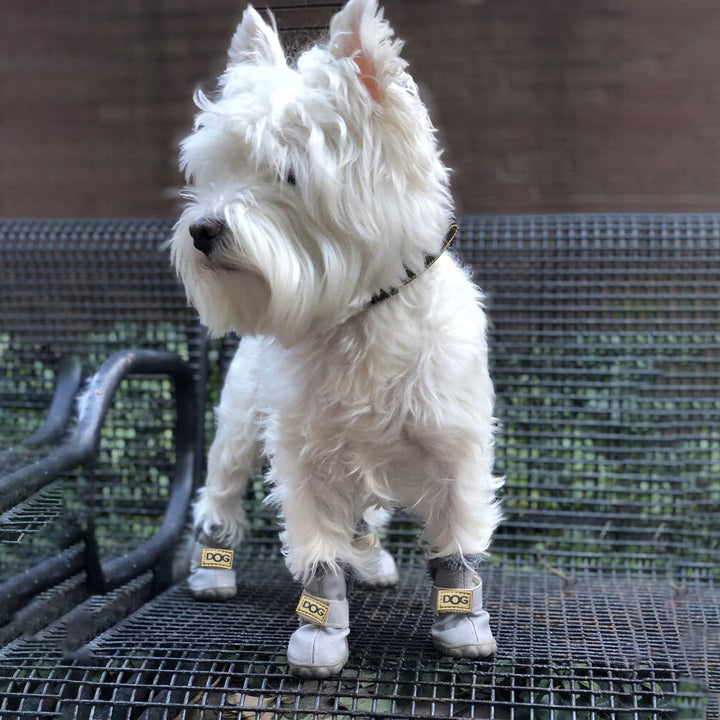 Varme hunder snøboots - SnowPaws Luvikno