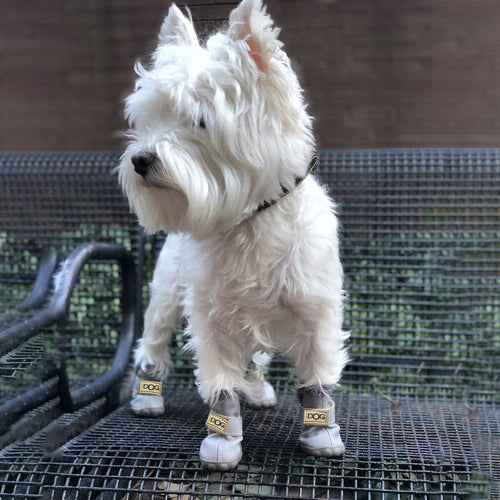 Varme hunder snøboots - SnowPaws Luvikno