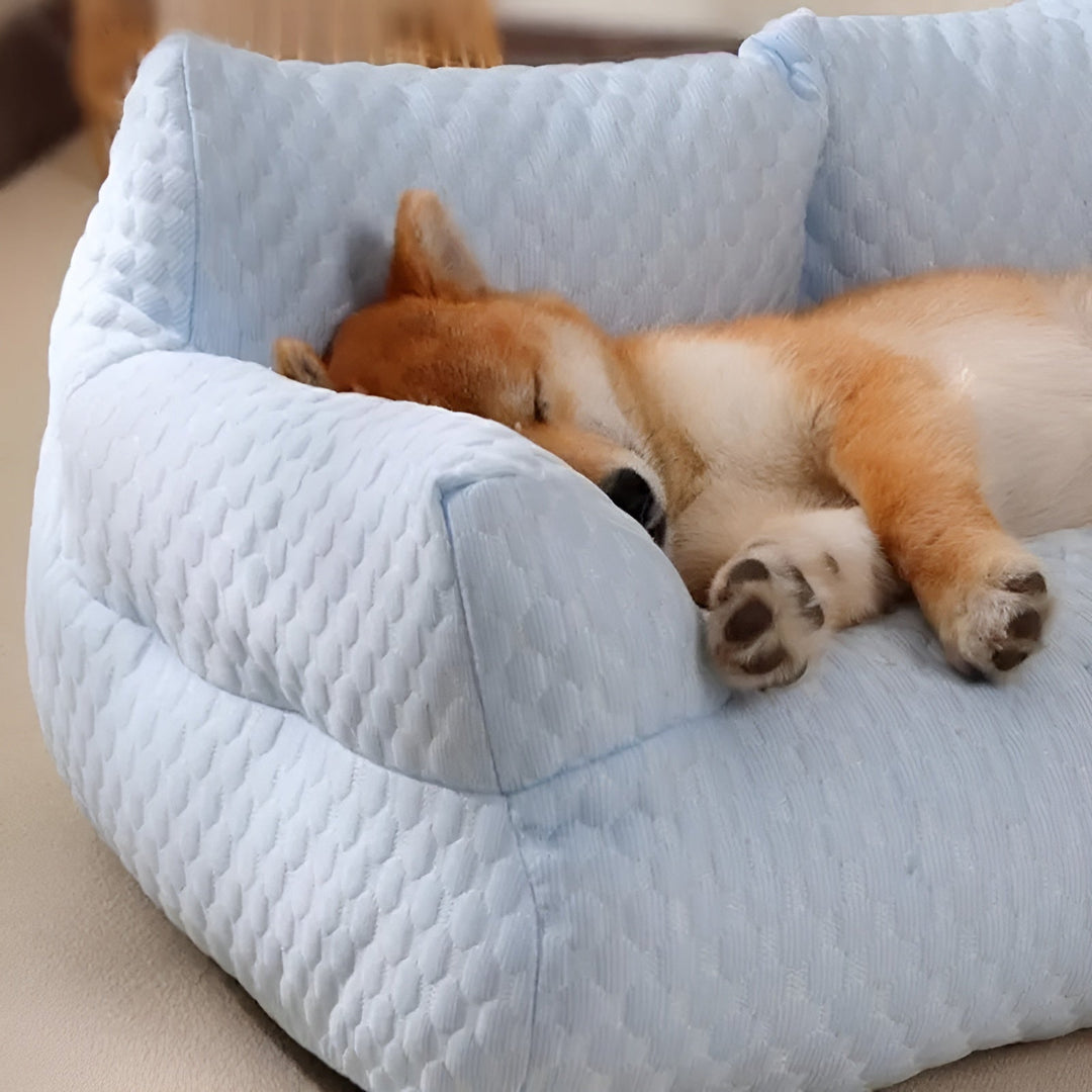 Vaskbar Plysj Katteseng - CozyPaws Luvikno