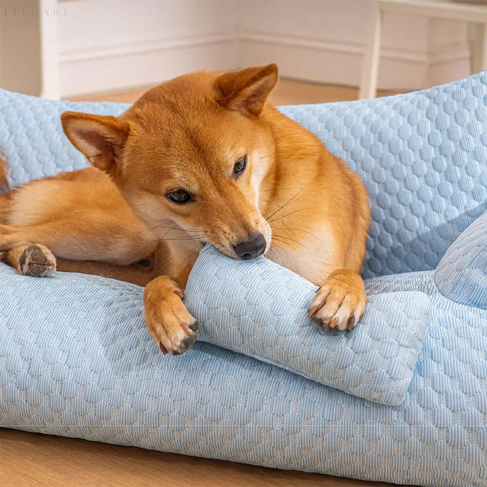 Vaskbar Plysj Katteseng - CozyPaws Luvikno