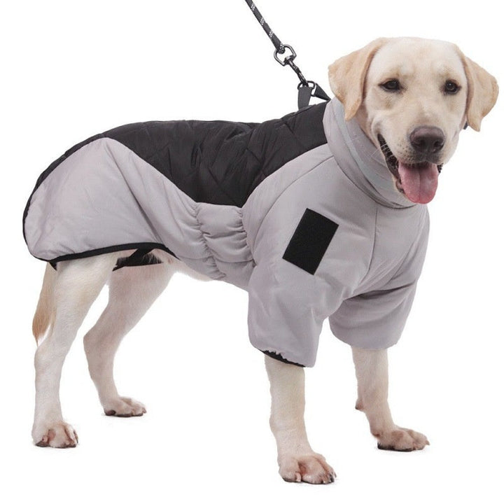 Vanntett Hundekåpe - WeatherPaws Luvikno