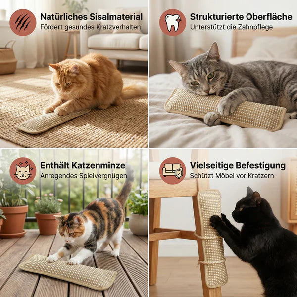 Klorepute for katter med kattmynt holdbar og robust Luvikno