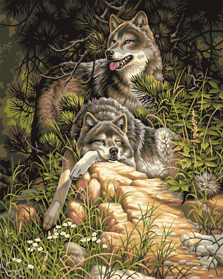 Lounging Wolves - Van-Go Malt-etter-nummerset | Luvikno