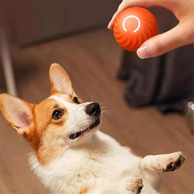 Interaktiv Hoppende Ball for Hunder Luvikno
