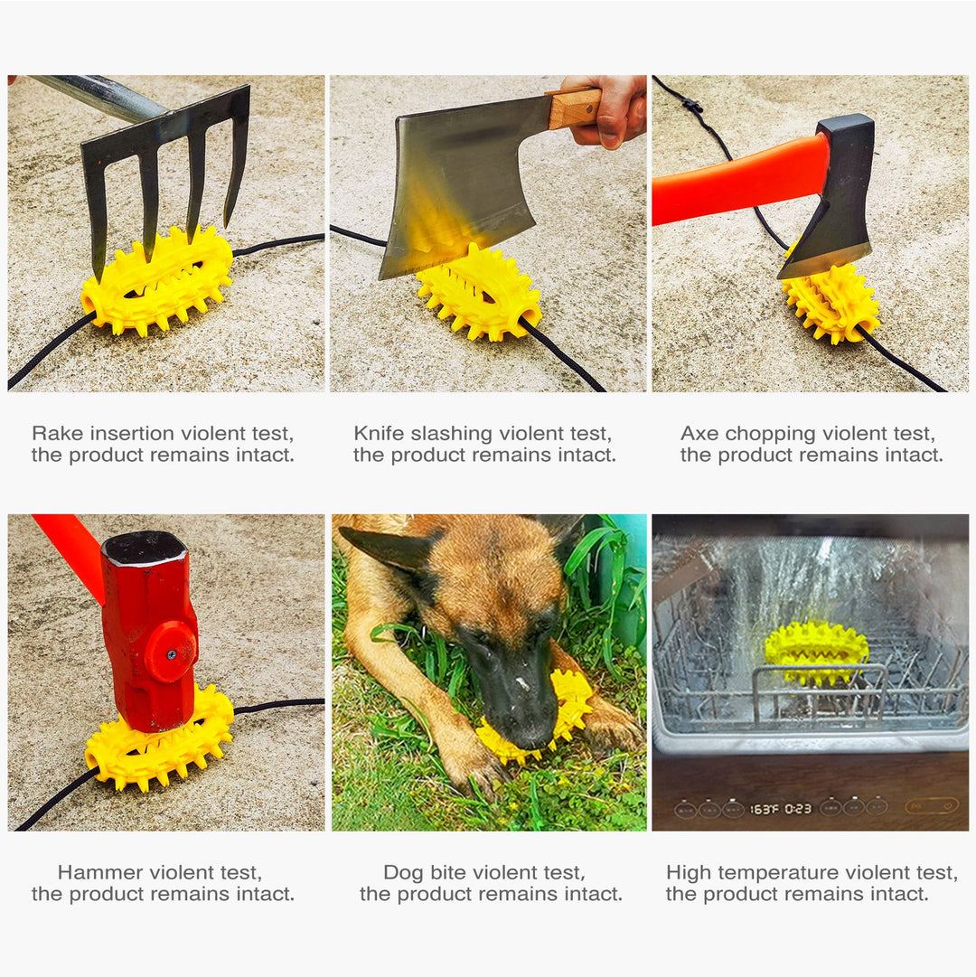 Cactus Chew Ball / For Dogs Luvikno