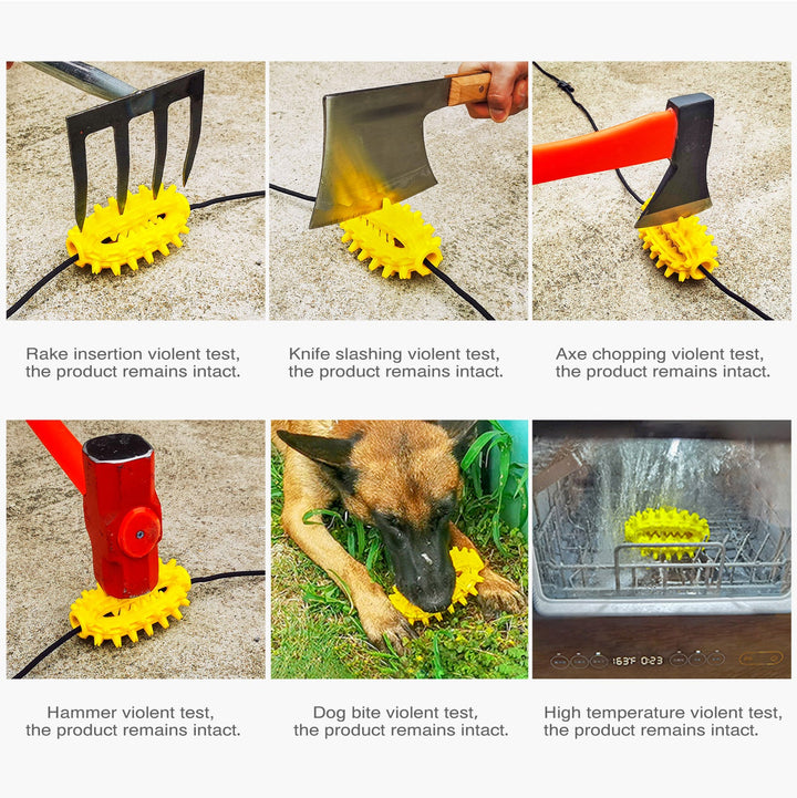 Cactus Chew Ball / For Dogs Luvikno