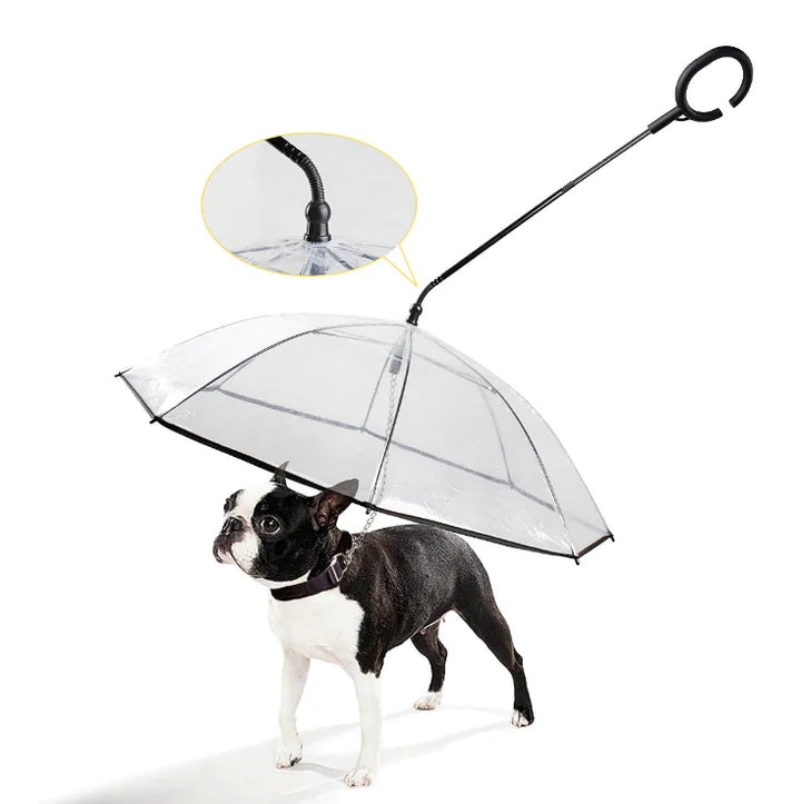 ClearPaws Parasol Bolheis