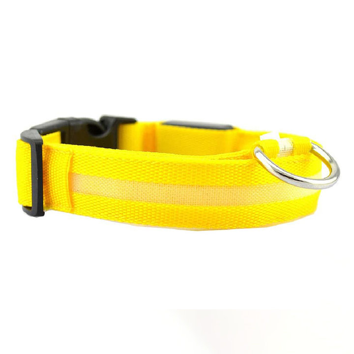 Luvikno | Luminous Animal Collar with LED Light – Rechargeable, Waterproof, Adjustable Fit for Enhanced Safety at Night